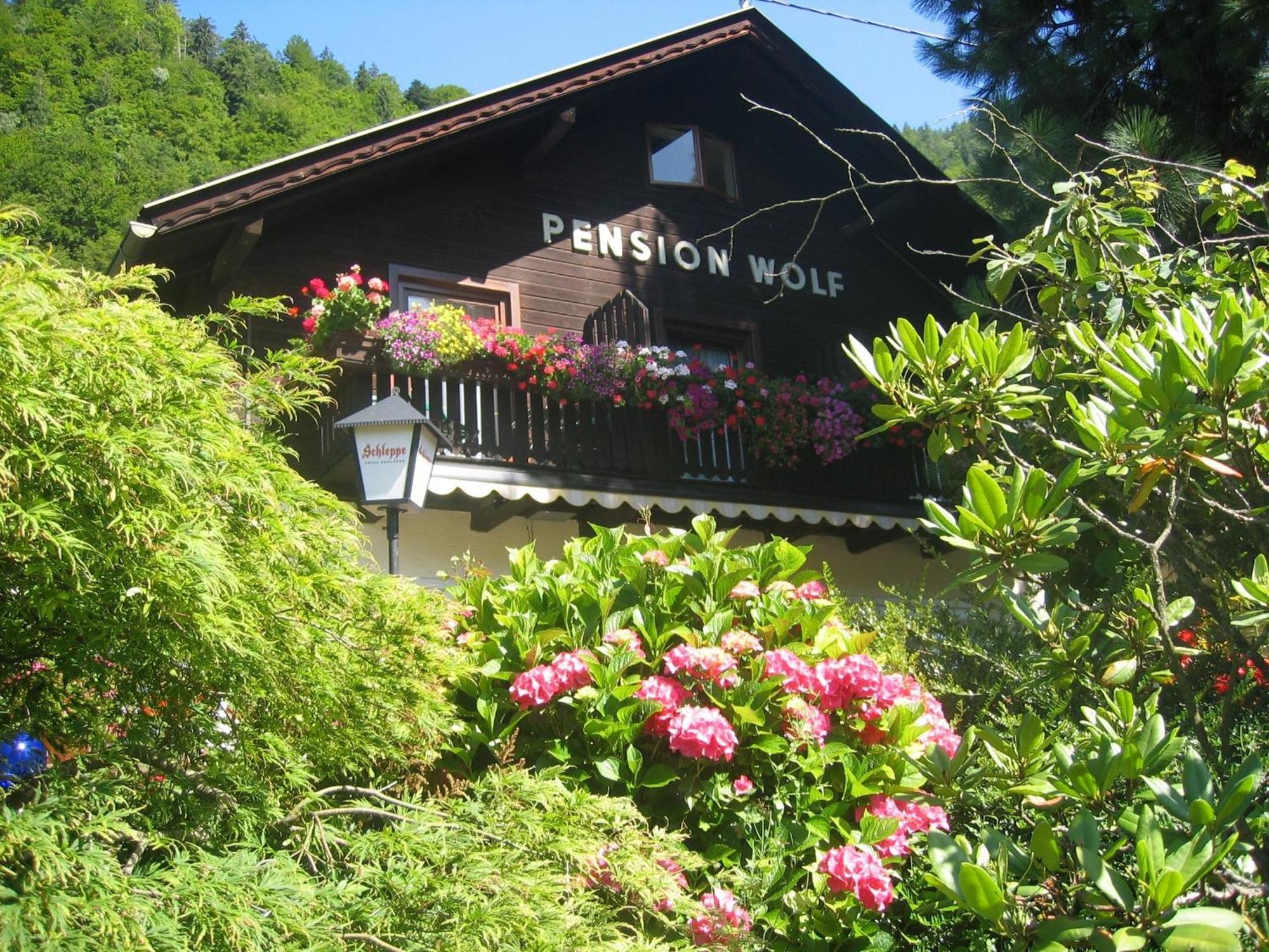 Pension Wolf Штайндорф-ам-Оссиахер-Зее Экстерьер фото